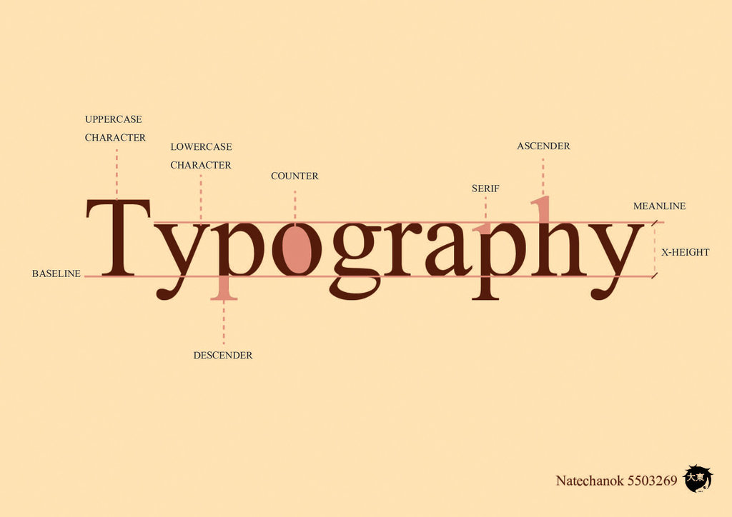 web typography การใช้ font ต่างๆ บนเว็บไซต์